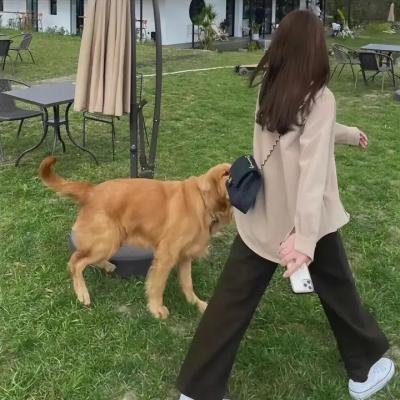 怪化猫
