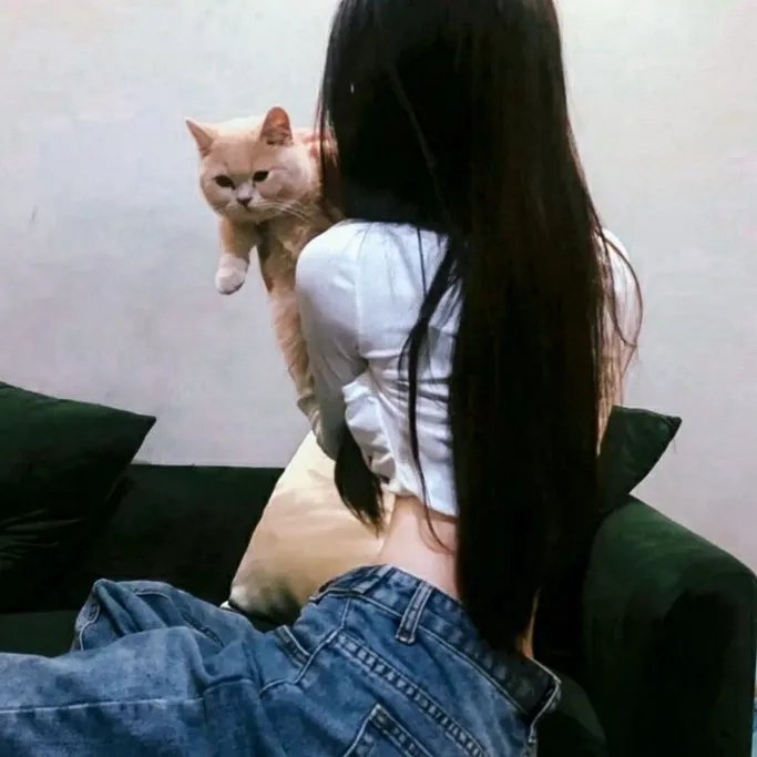 仙女座报告